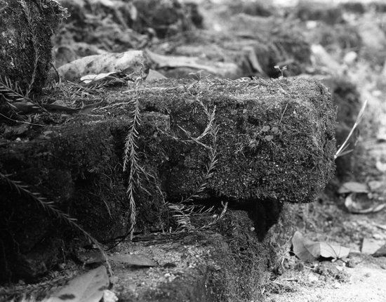 Savannah-Ogeechee Canal Museum and Nature Center